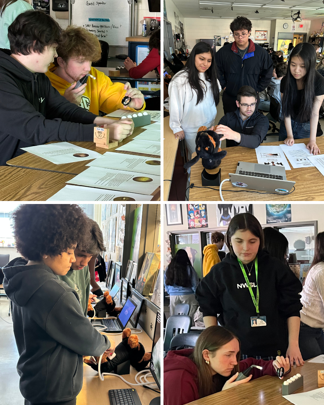 photo collage of students practicing in Vet Science