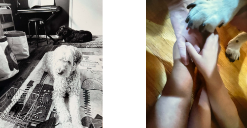 reflections art contest award winning photos