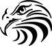 hawk logo