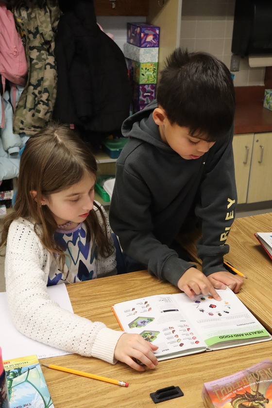 Classroom Activities