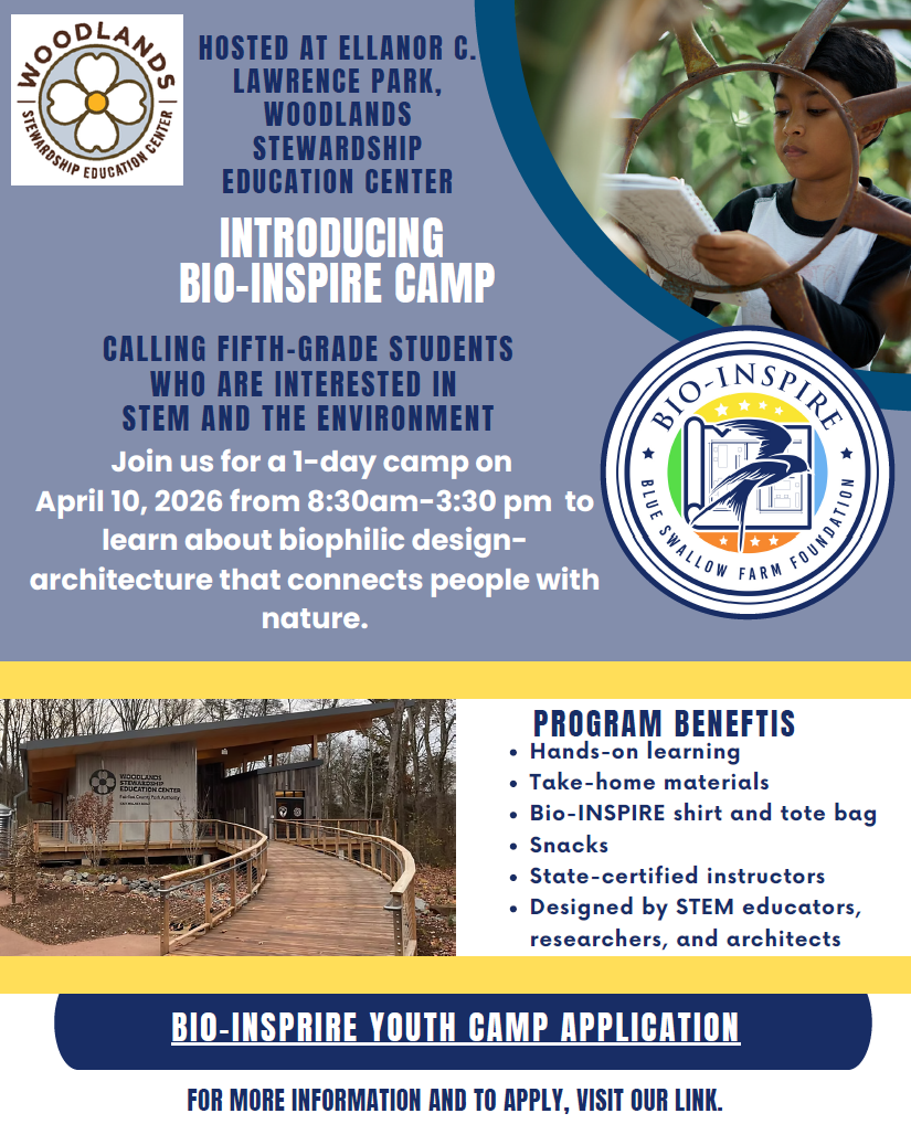 Camp