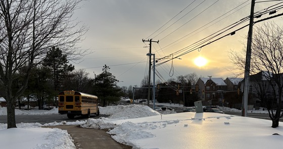 School bus in front of Lane surrounded by snow banks, with the sun shining on icy snow