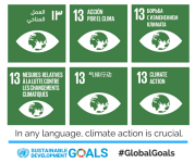 SDG Climate action represented in 6 languages
