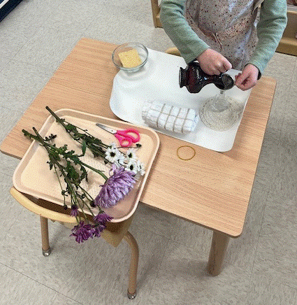 Montessori Gardening