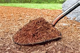 mulch