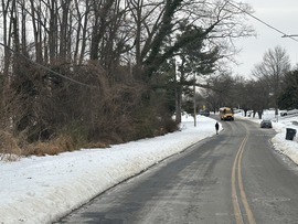 Snow Storm Aftermath