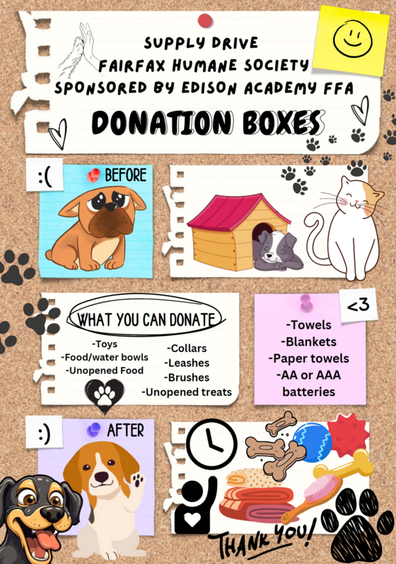 Edison Academy Donation Flyer