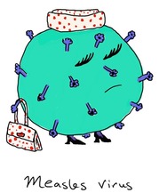 Measles Germ