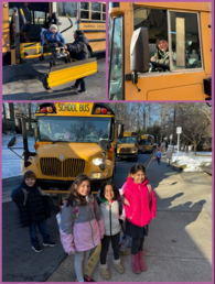 Love the Bus Month at Kings Park