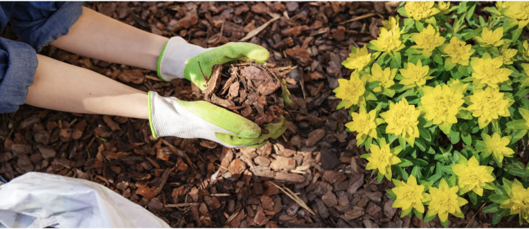 hands with mulch