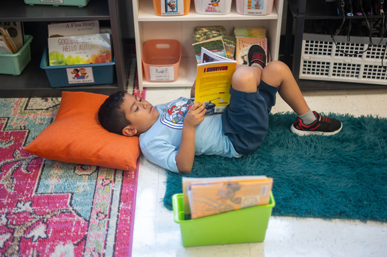 A boy lays on the carpet to read 