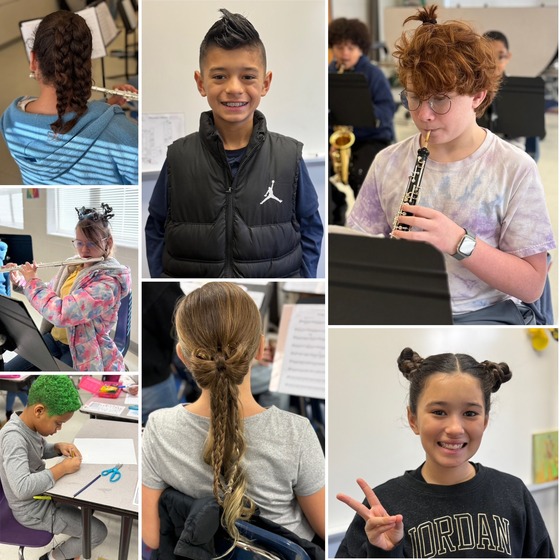 Crazy Hair Day Picture Collage