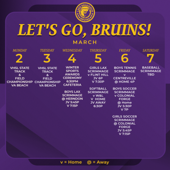 Bruins in Action This Week