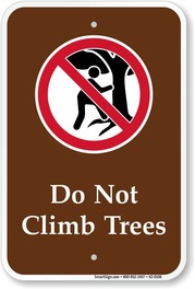 do not climb trees sign 
