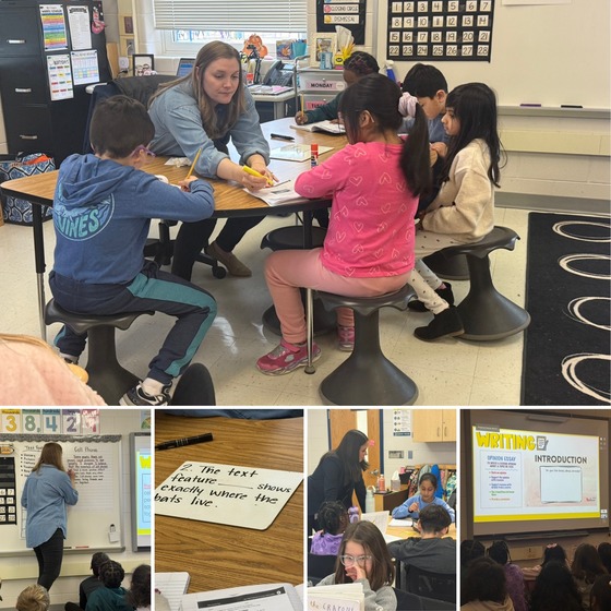 Mrs. Crane Language Arts