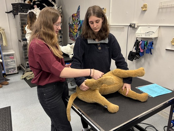 vet science