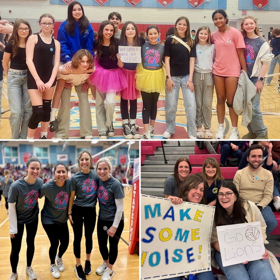 Volleyball Game Collage