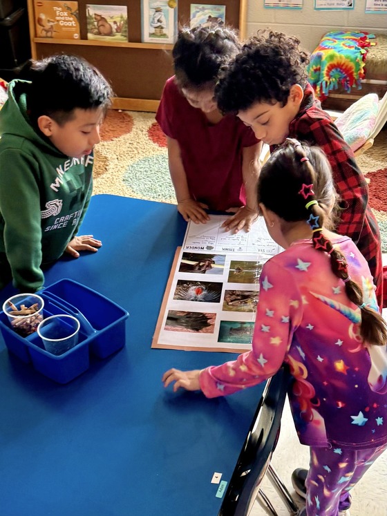 1st Grade students
