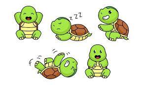 Turtles