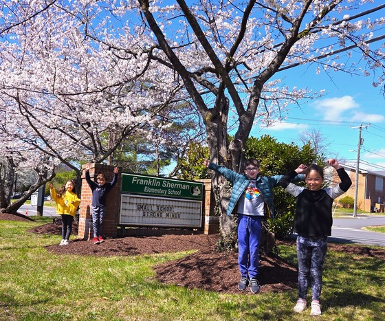 Four smiling students pose with arms raised in front of the Franklin Sherman Elementary sign and under our famous cherry blossom trees in bloom.