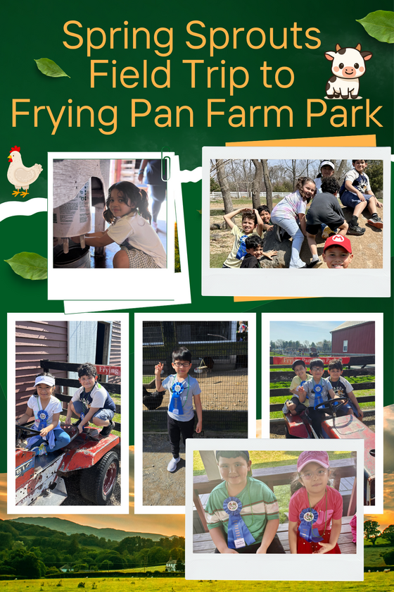 farm field trip photo collage