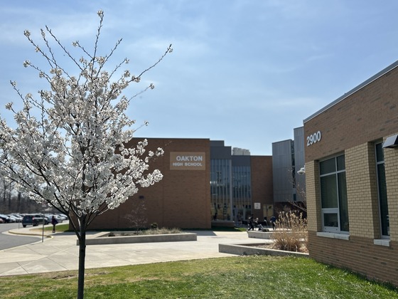 image of cherry tree in front of the building