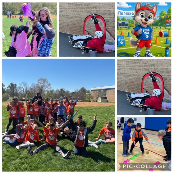 Students at different field day activities