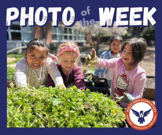 Photo of the Week: students add fresh weeds on top of the compost pile in the Discovery Area