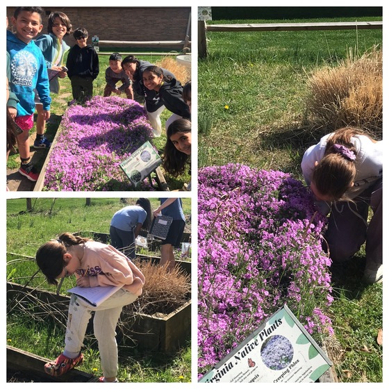 students getting writing inspiration from the garden