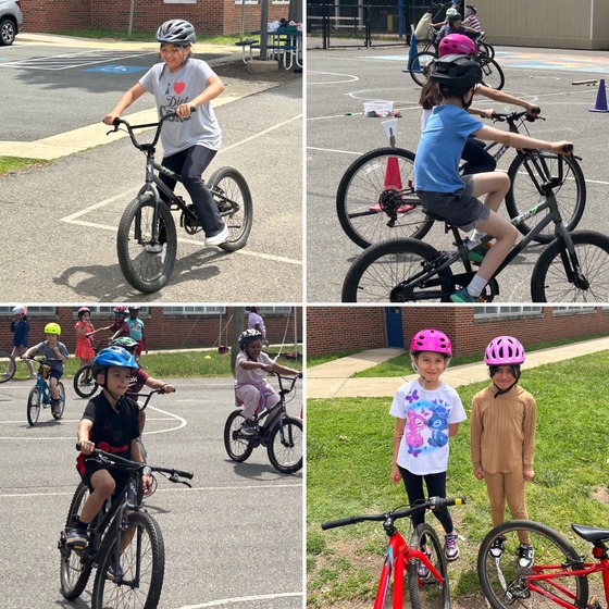 Bike Unit PE