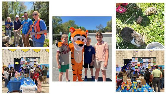 Fun Fair and Art Show Collage