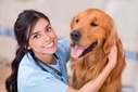 Veterinary Assistant