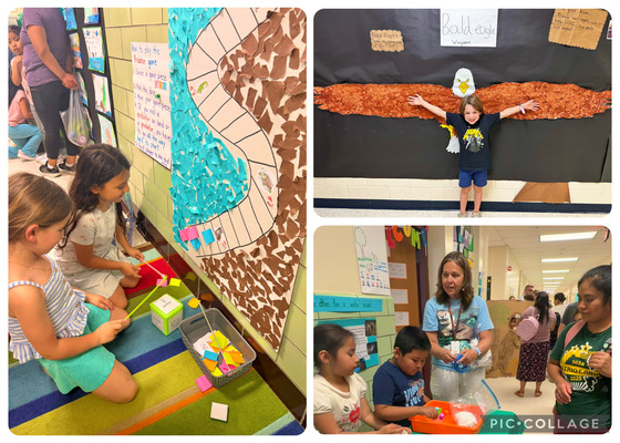 1st Grade Museum Collage