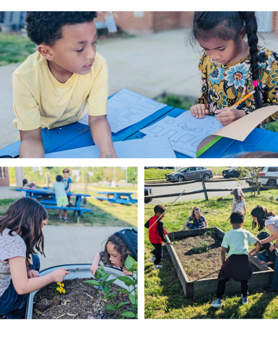 Bucknell Elementary students work in the school garden