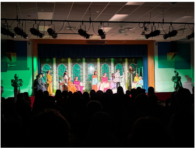 Once Upon a Mattress Theatre Musical