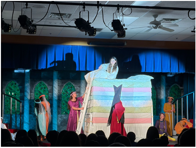 Once Upon a Mattress Theatre Musical