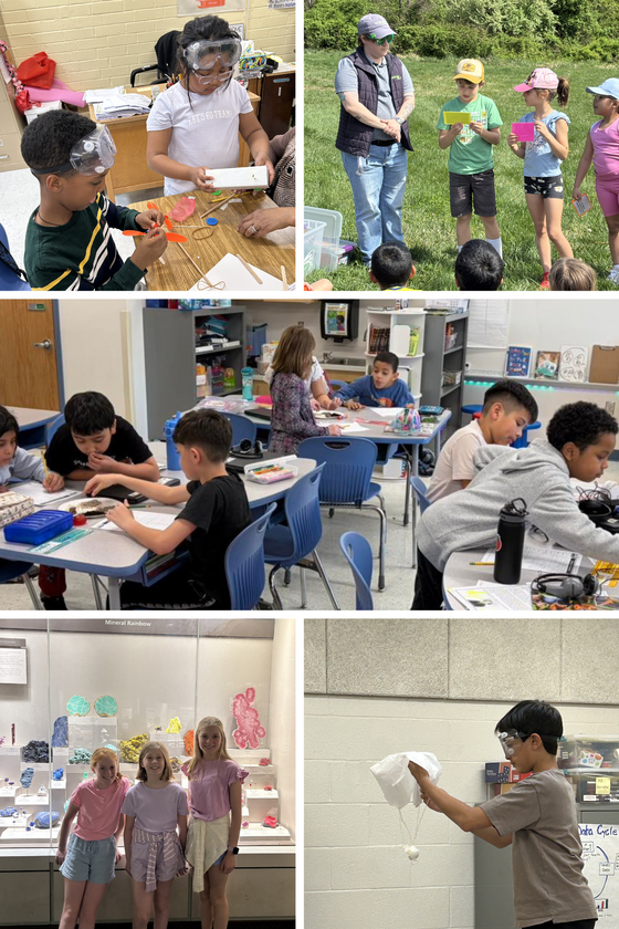 This week at Clearview