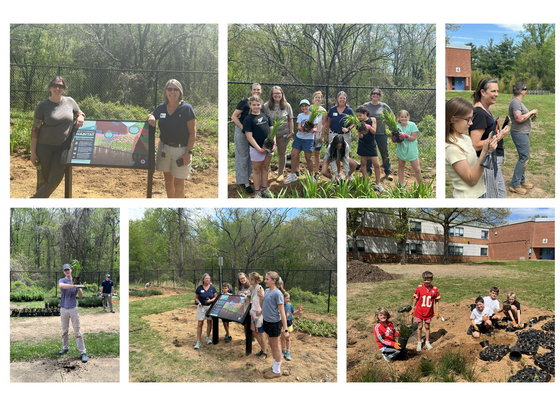 Kent Gardens ES R3 native planting event collage