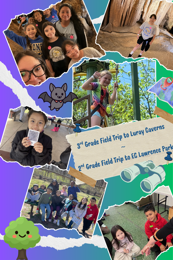 field trip photo collage