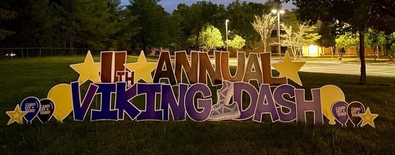 Viking Dash