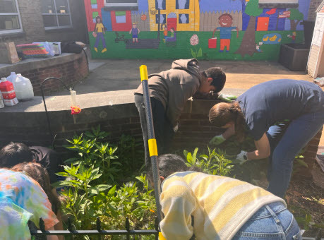 students gardening in school courtyard
