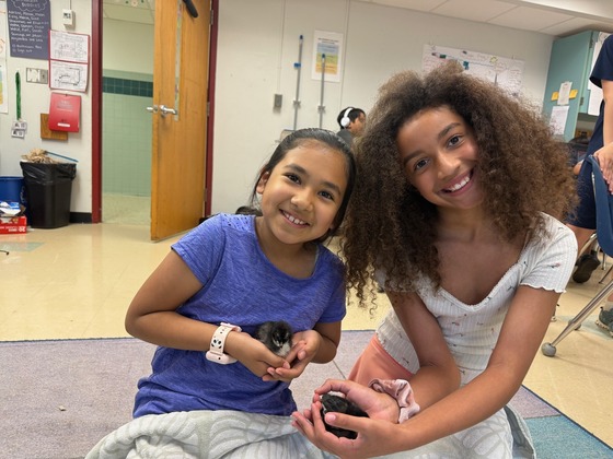 students holding chicks