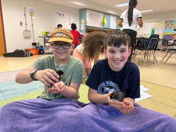 students holding chicks