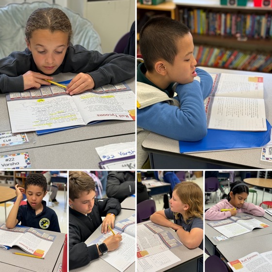 Grade 4 Benchmark Lesson Photos