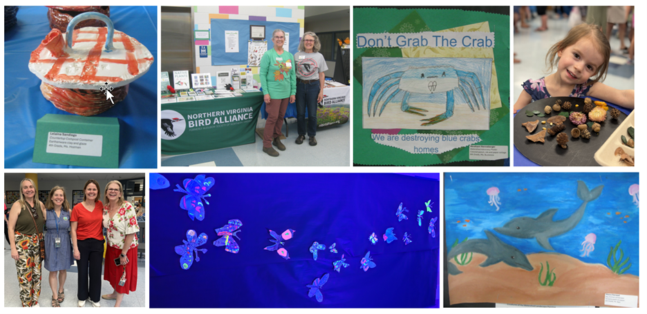 Watershed Festival and Art Show