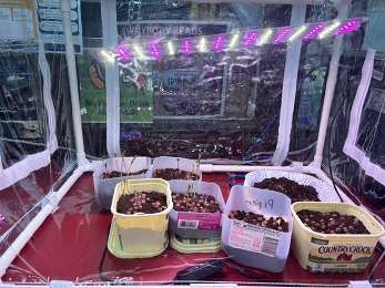 Get2Green Greenhouse