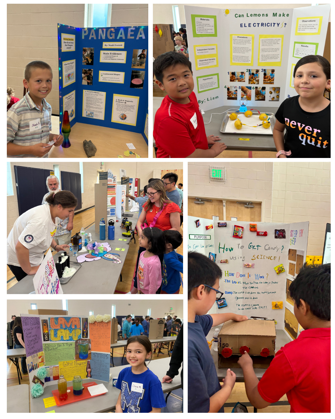 collage of photos from Einstein Night
