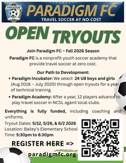 Paradigm Flyer
