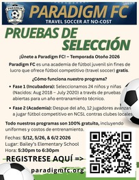 Paradigm Flyer Spanish
