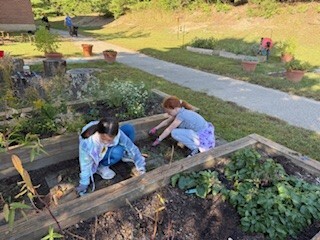 Pollinator Garden